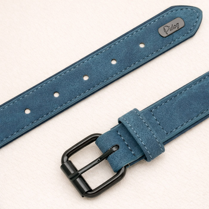 Personalized Leather Dog Collar with Free Engraving