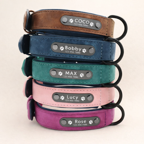 Personalized Leather Dog Collar with Free Engraving